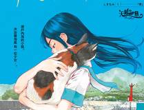 小蘑菇